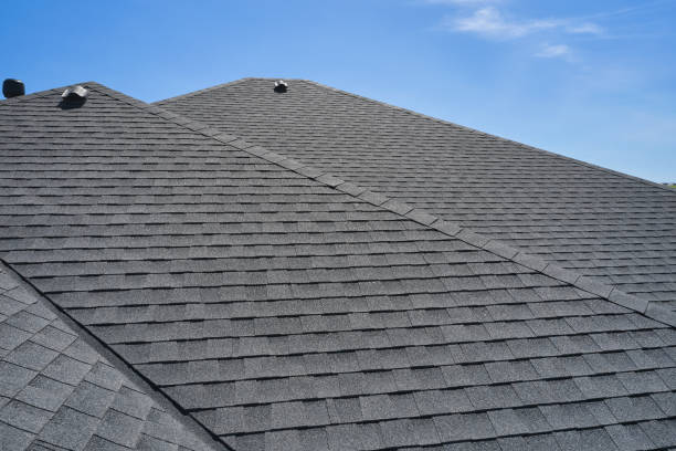 Best Roof Moss and Algae Removal  in Berwyn, PA