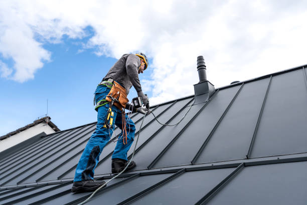Best Solar Panel Roofing Installation  in Berwyn, PA